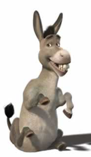 burrinho