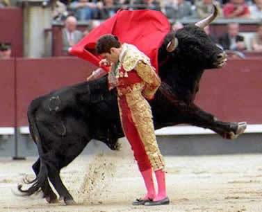 tourada espanhola