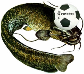 cabeça de bagre