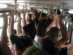 nibus lotado