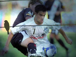 Maikon Leite