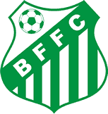 Escudo do Beija Flor de S�o Vicente